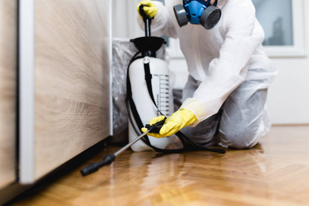 Best Affordable Pest Control Services  in St City, AR