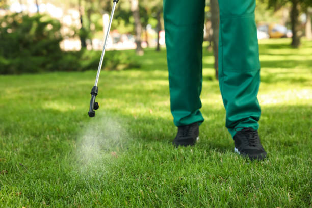Trusted Star City, AR Pest Control Experts