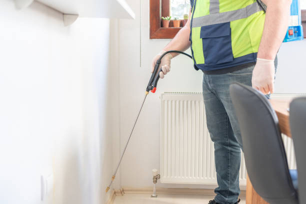 Best Affordable Pest Control Services  in St City, AR