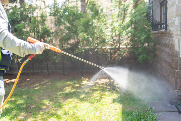 Best Rat Extermination Near Me  in St City, AR